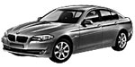 BMW F10 P211C Fault Code